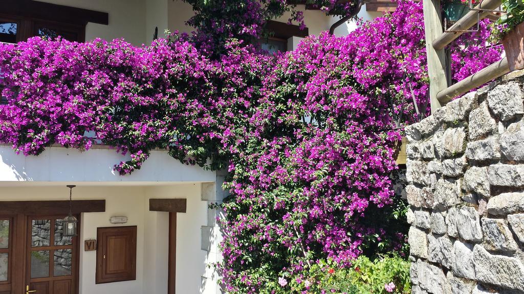 Ardines Apartamentos Rurales La Gueertona מראה חיצוני תמונה